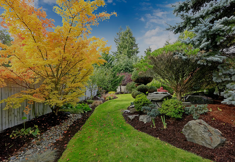 landscaping lynn ma